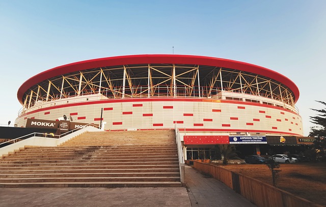 地生根的战 地生根的战