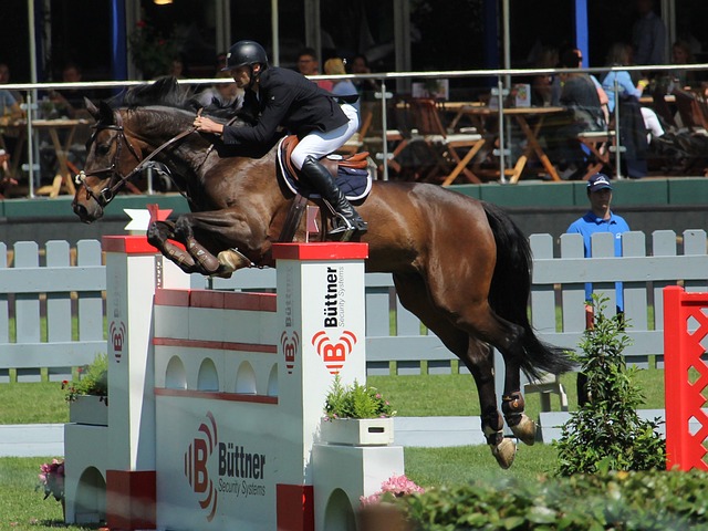 鉴的案例是 鉴的案例是