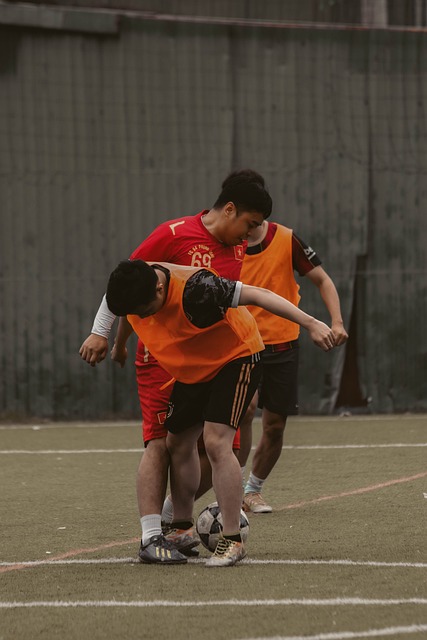 这一选择引 这一选择引