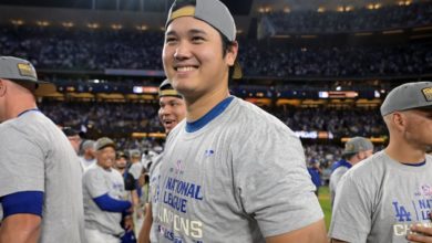 逐渐崛起 逐渐崛起