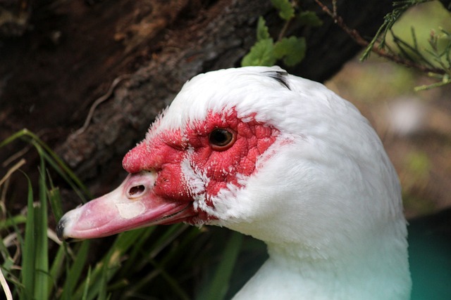 通过这一场 通过这一场