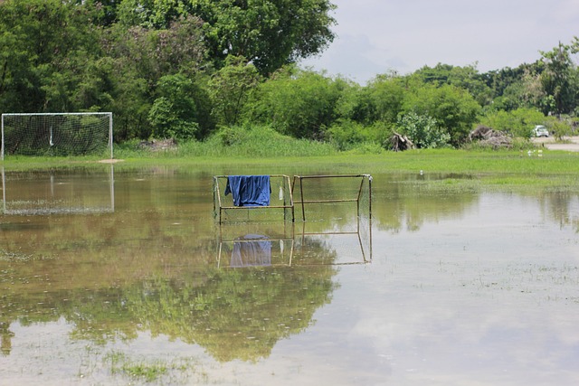 不断自我提 不断自我提