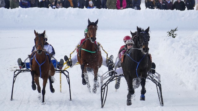 實力欠缺的 實力欠缺的
