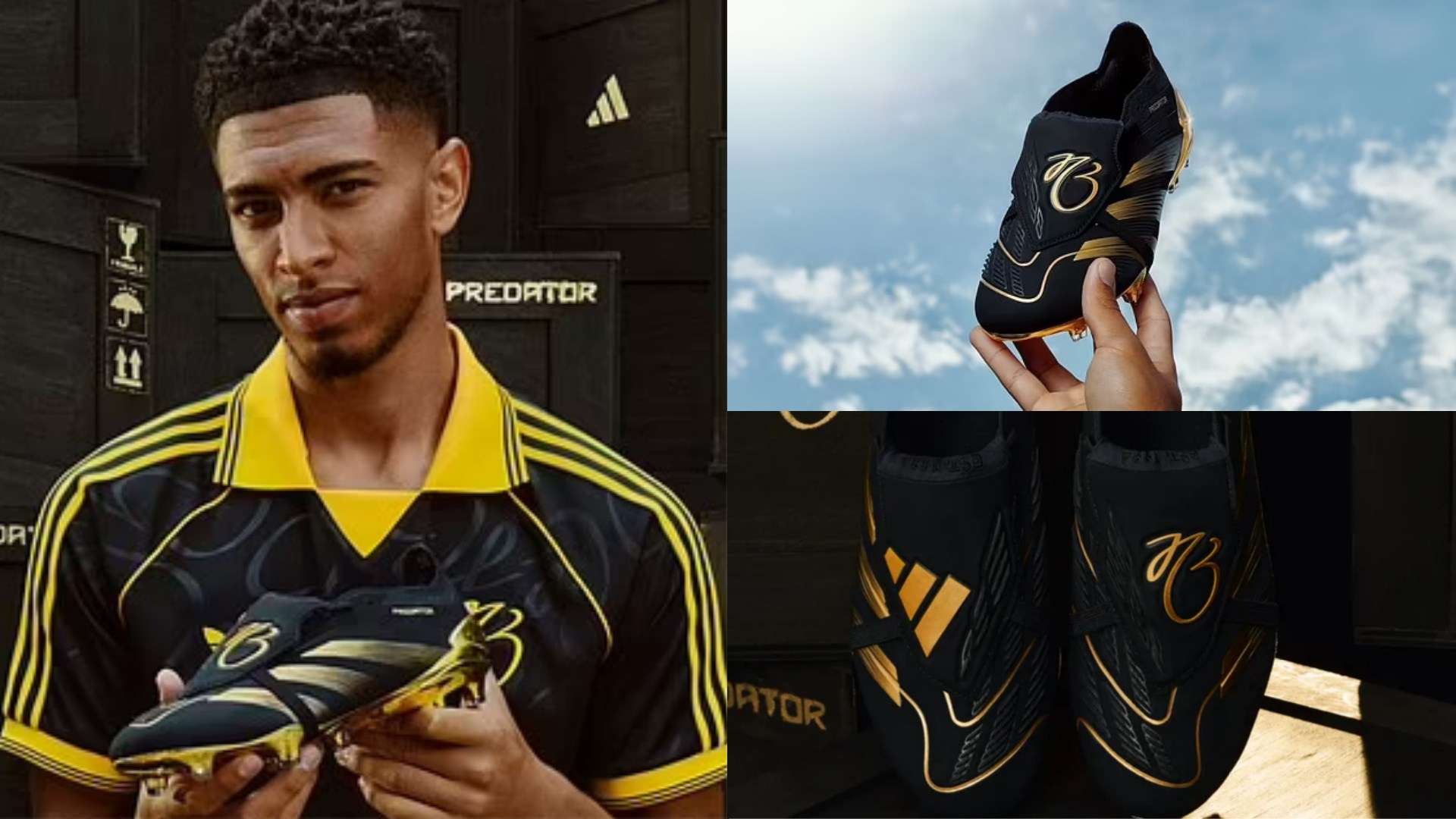 仅为球迷们 仅为球迷们