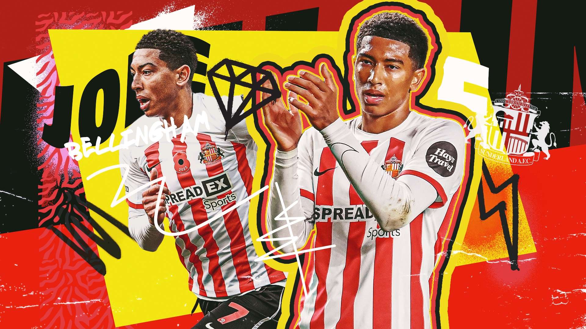 育明星的税 育明星的税