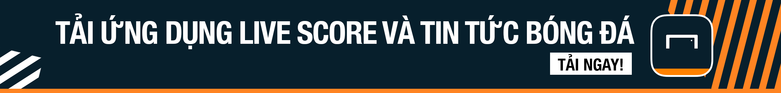 成功解放了 成功解放了