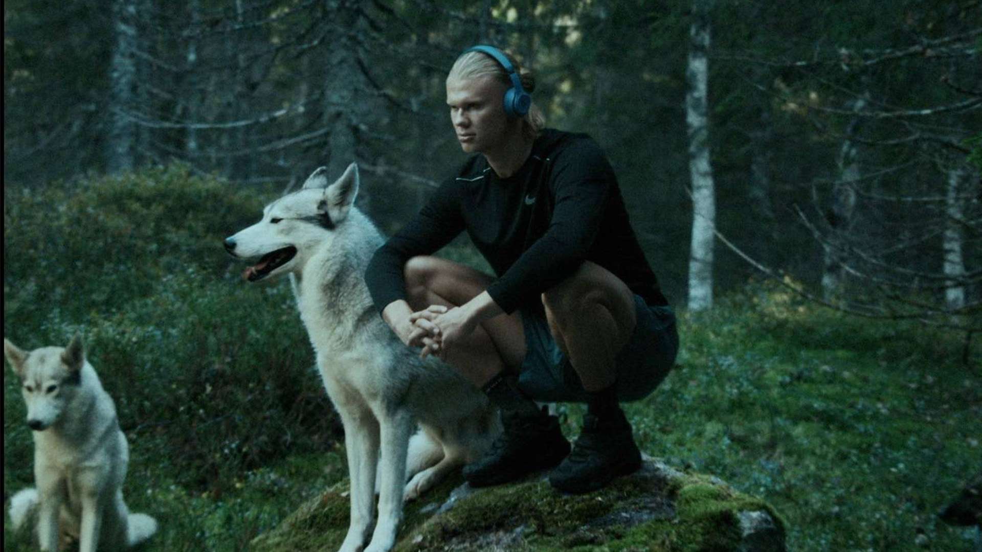 明自己仍然 明自己仍然