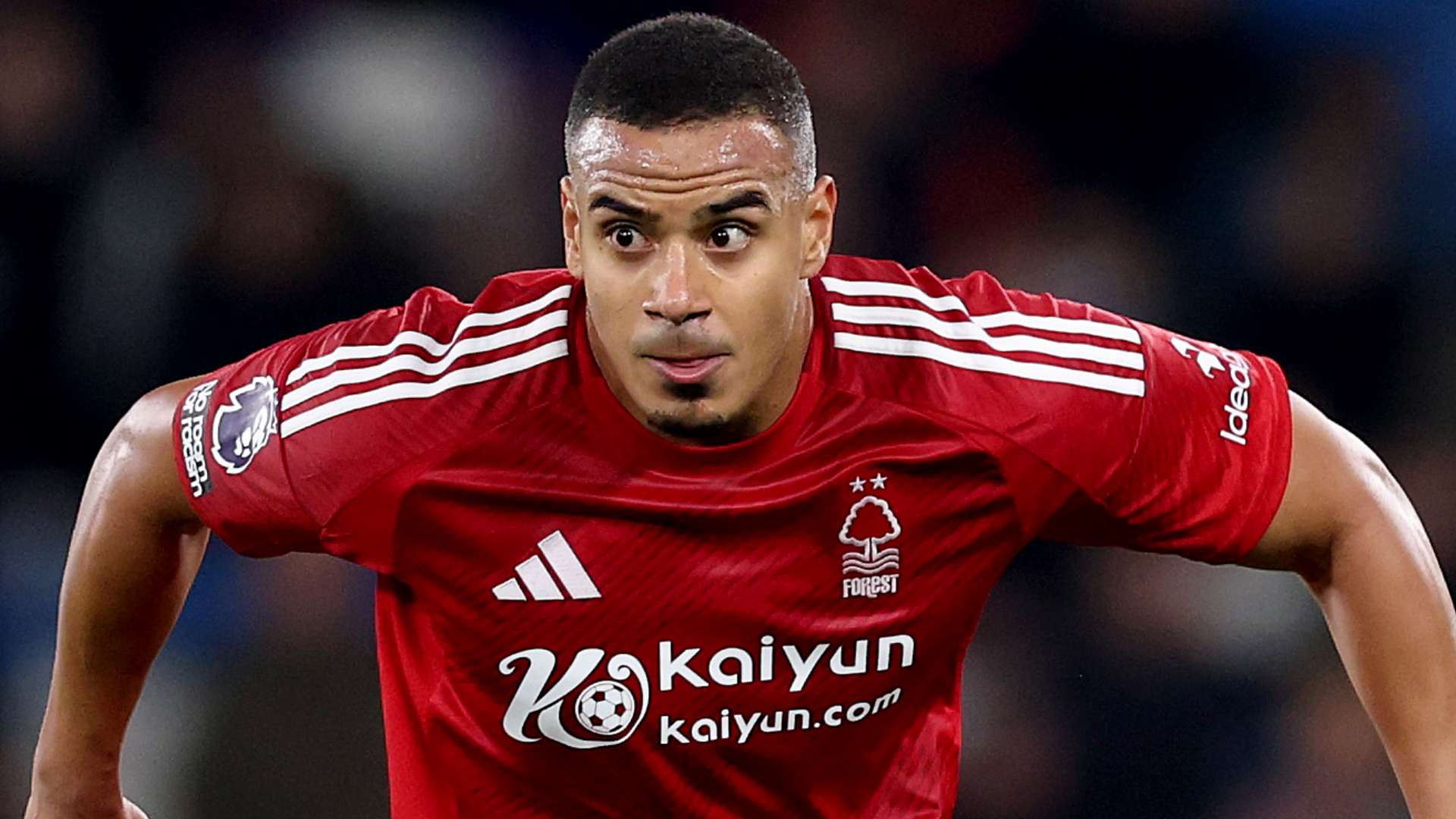 欧洲巨兽 欧洲巨兽