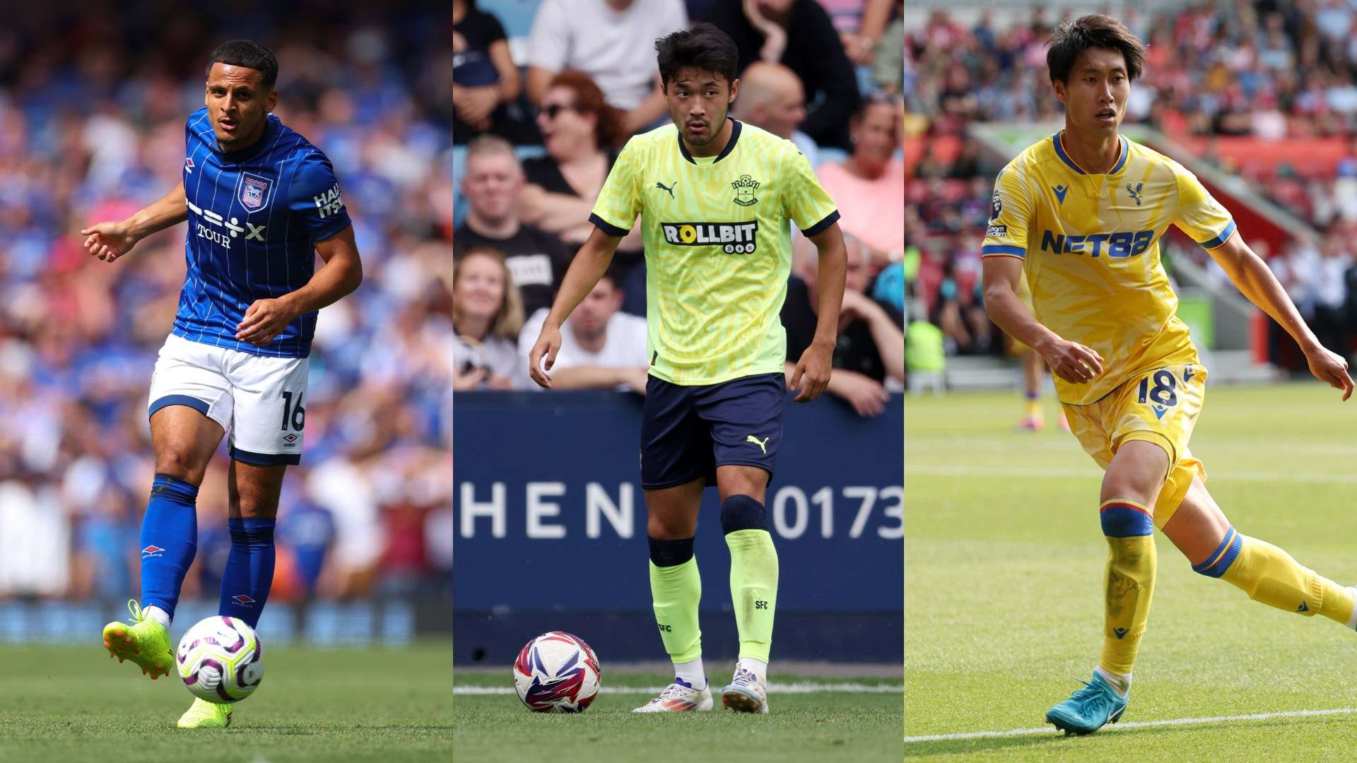 狼队无疑为 狼队无疑为