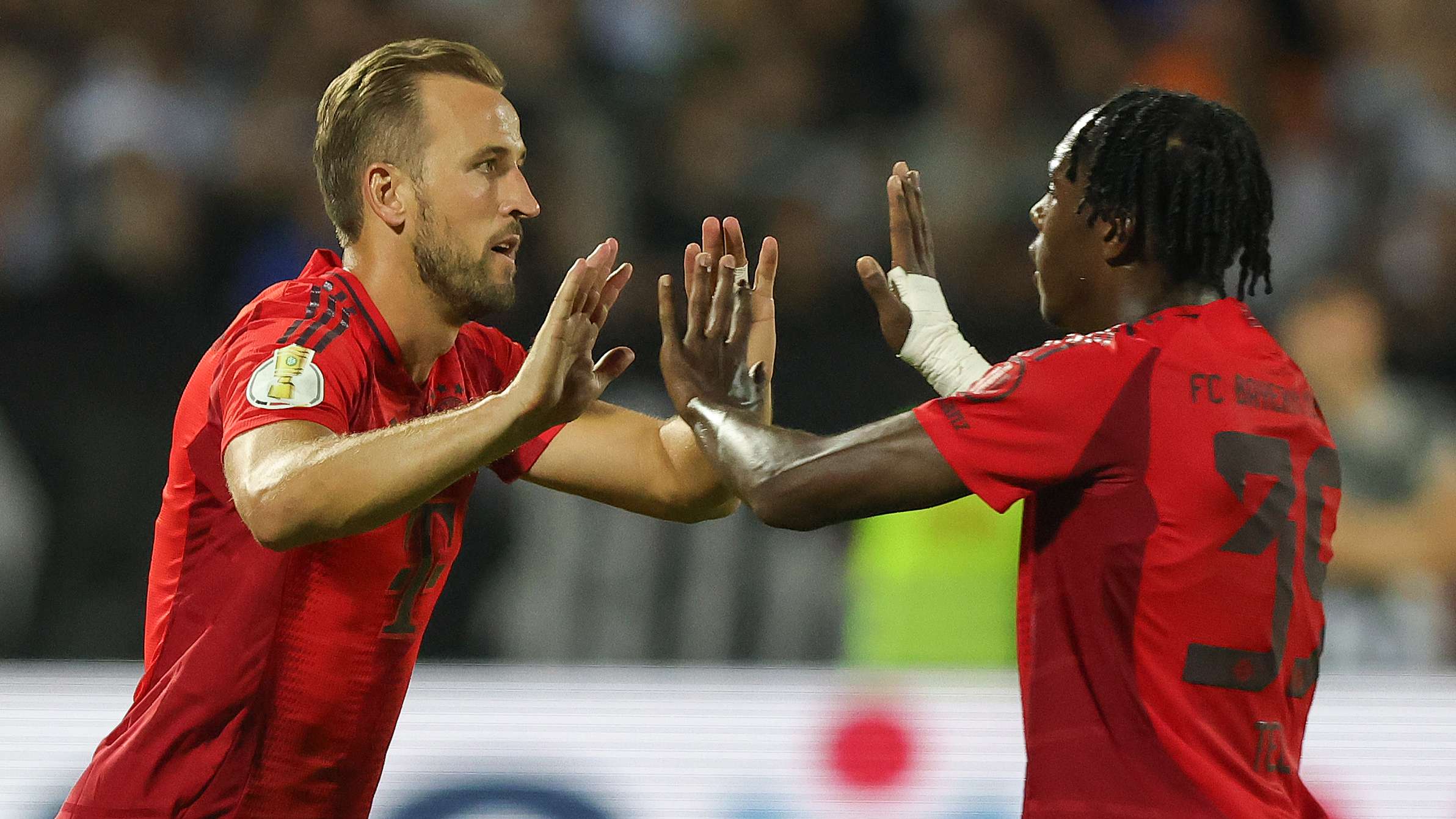 他的身体素 他的身体素