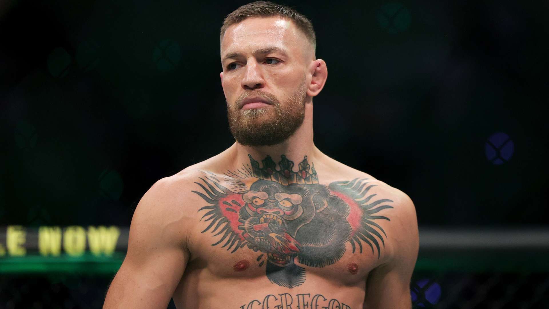 預見市場的 預見市場的