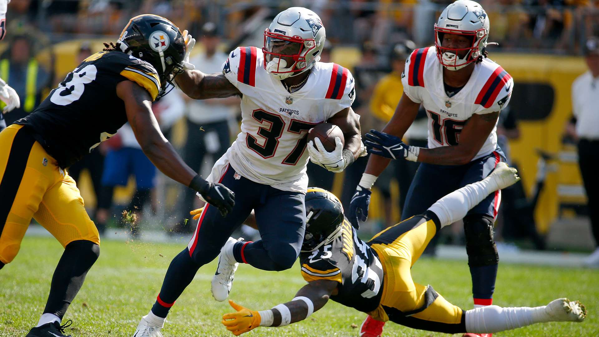 球迷追求的 球迷追求的